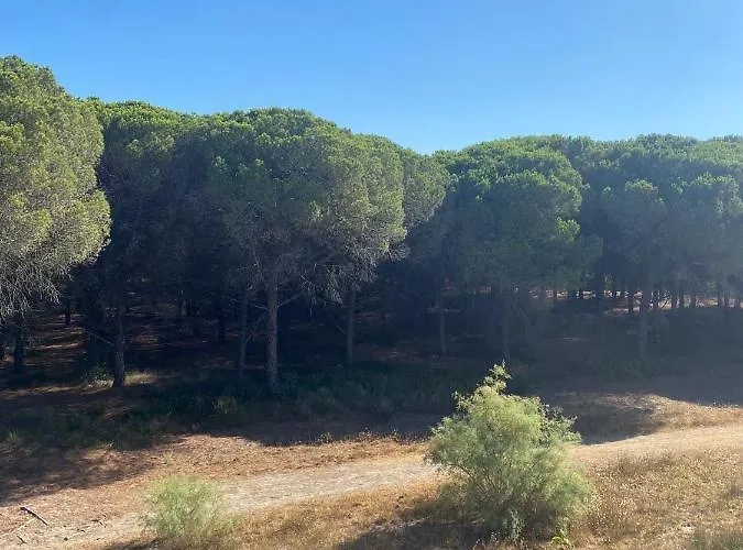 Et Pinede 26m2: 4pers, Neuf, Cosy Apartamento *